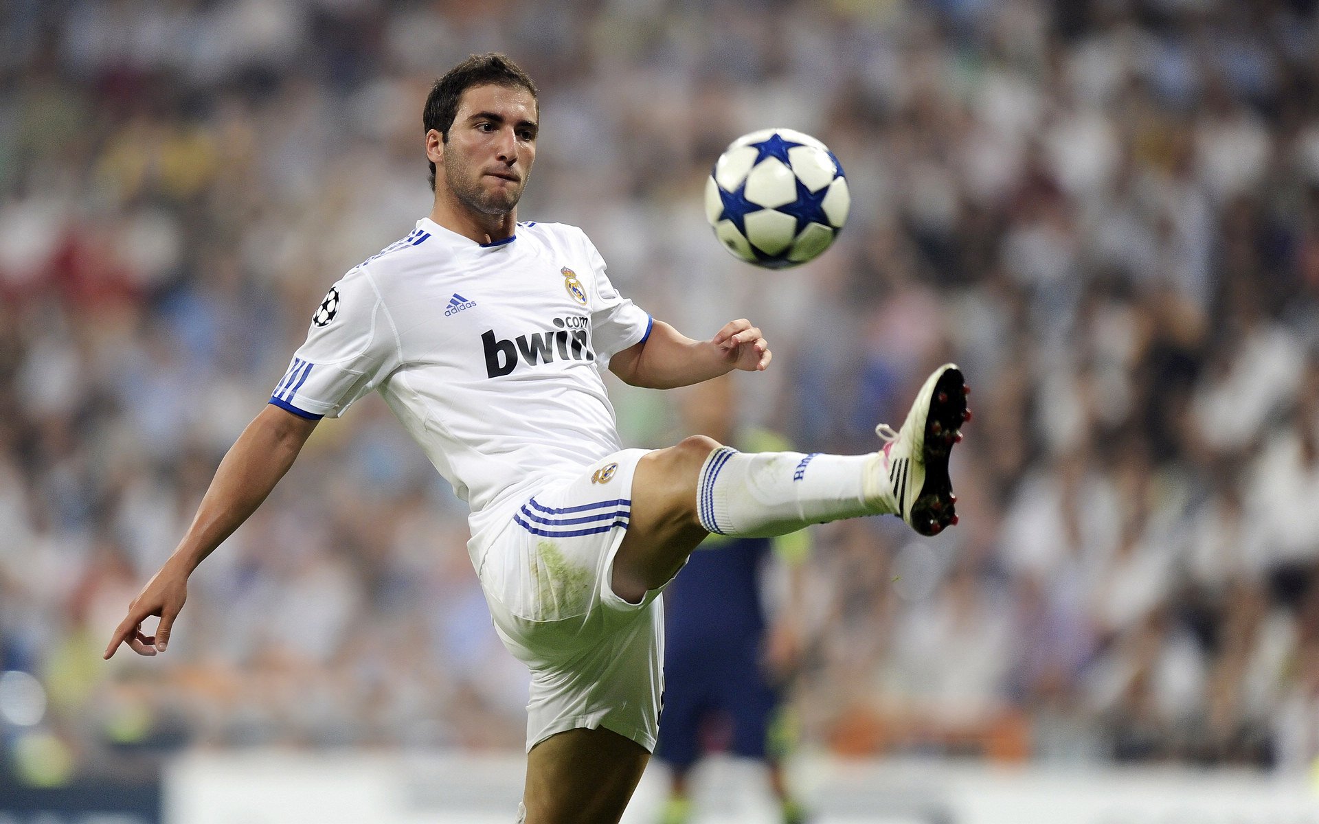 “德甲夺冠形势近乎白热化,夺冠悬念待揭晓”,德甲球队夺冠次数排名